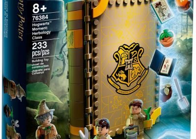 , LEGO Harry Potter &#8220;Hogwarts Moments&#8221; i nuovi libri di magia da costruire