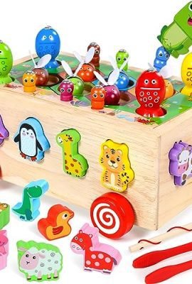 COOLJOY Giochi Montessori Magnetici Educativi Bambini 2 3 4 Anni | Animali Macchinina Giocattolo in Legno